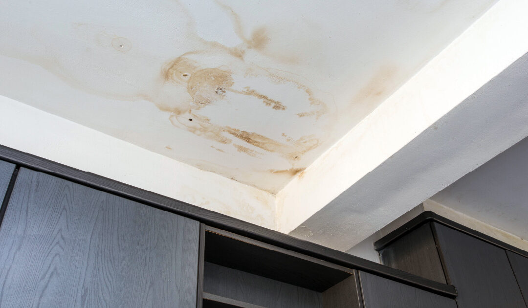 A water stain on a residential ceiling indicating a roof leak