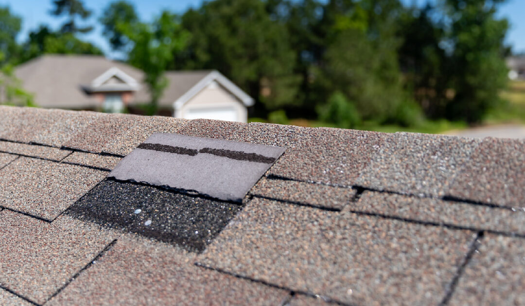 A shingle roof with a small amount of damage
