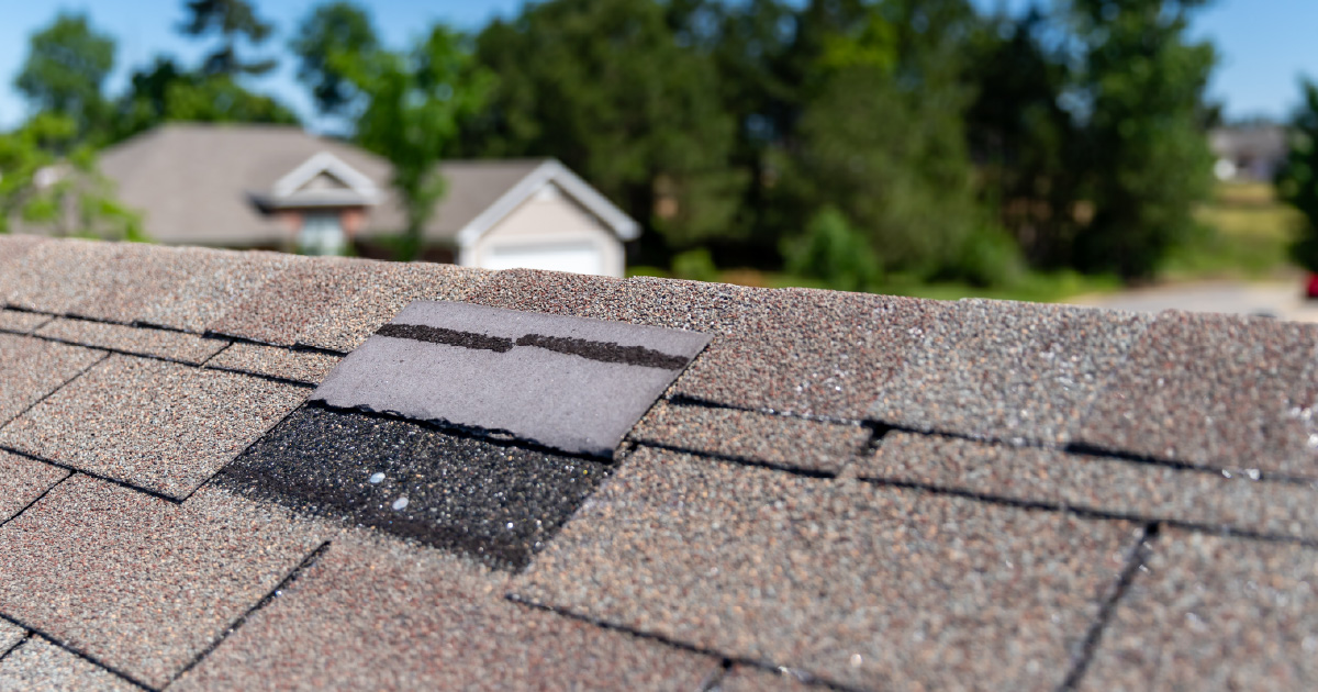 A shingle roof with a small amount of damage